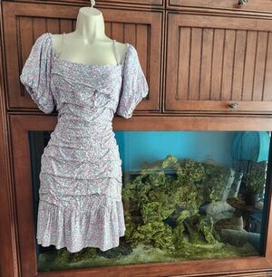 Astr Floral Print Dress with Blue and Pink Accents